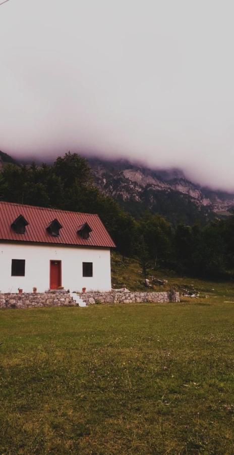 Guesthouse Freskia Theth Exterior photo